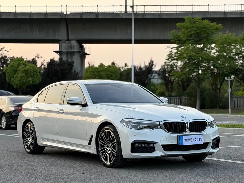 BMW 5 Series 2018 530Li Exclusive M Sports Package купить на сайте DeffCars