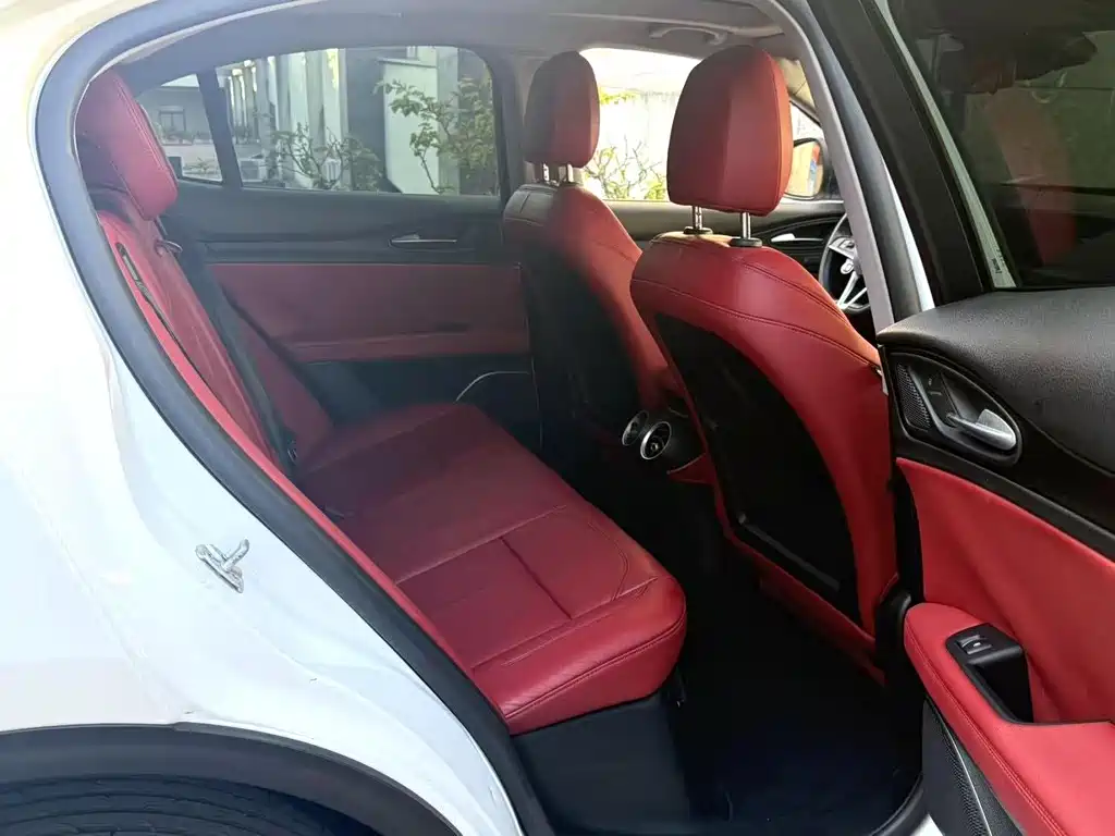 Stelvio 2017 2.0T 200HP Elite Edition купить на сайте DeffCars