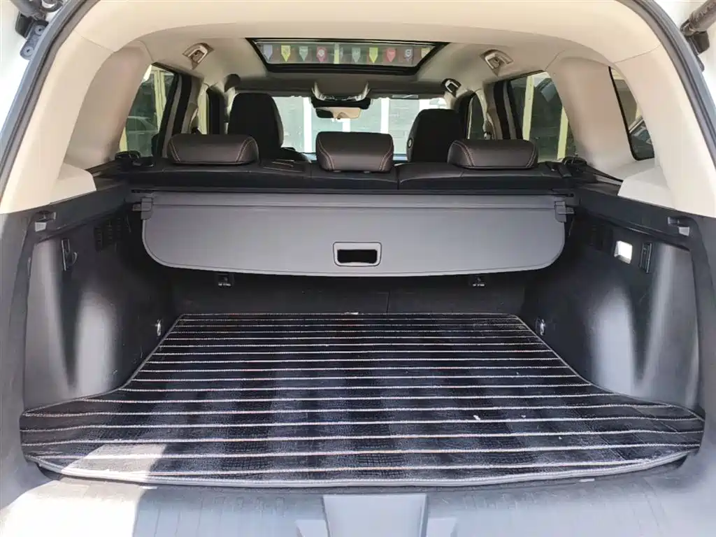 Haval Big Dog 2021 1.5T DCT two-wheel drive Border Collie version купить на сайте DeffCars