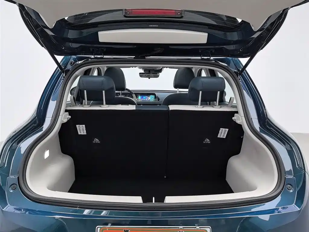 Euler Good Cat 2024 Model 401km Luxury Model купить на сайте DeffCars