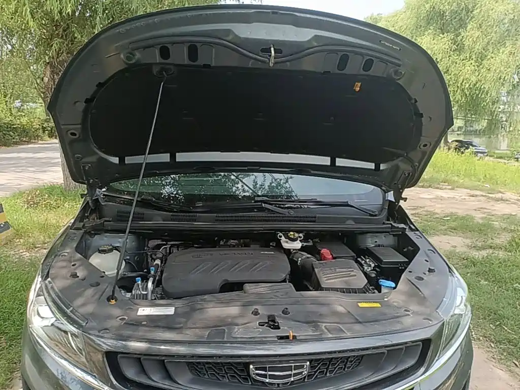 Jiaji 2019 1.5TD MHEV DCT Premium Model купить на сайте DeffCars