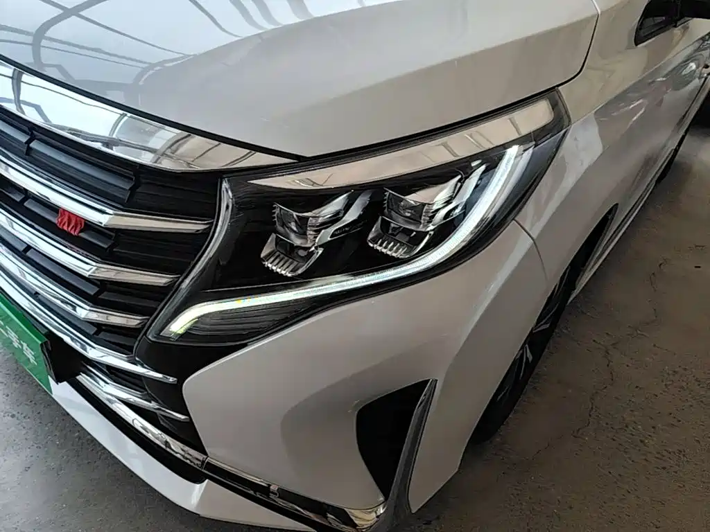 Trumpchi M8 2023 Lead Show Series 390T Exclusive Edition купить на сайте DeffCars