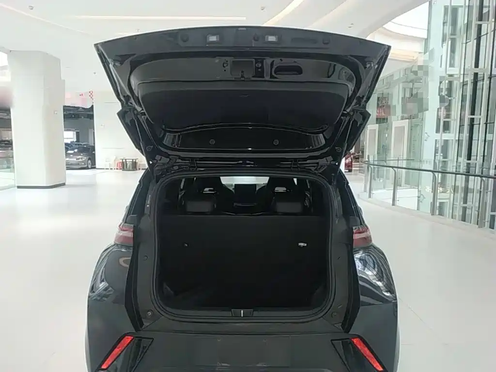 Seagull 2023 Vitality Edition купить на сайте DeffCars