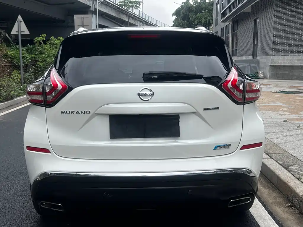 Loulan 2019 2.5 S/C HEV XL 4WD Hybrid Intelligent Premium Edition National VI купить на сайте DeffCars