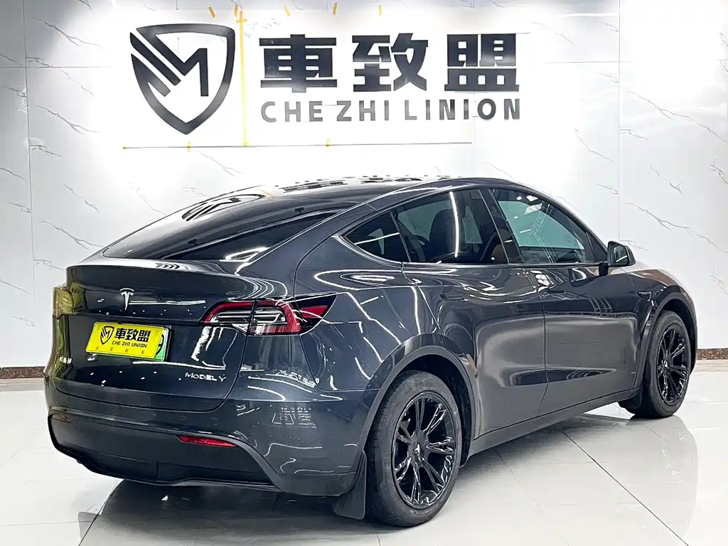 Model Y 2024 rear-wheel drive version купить на сайте DeffCars