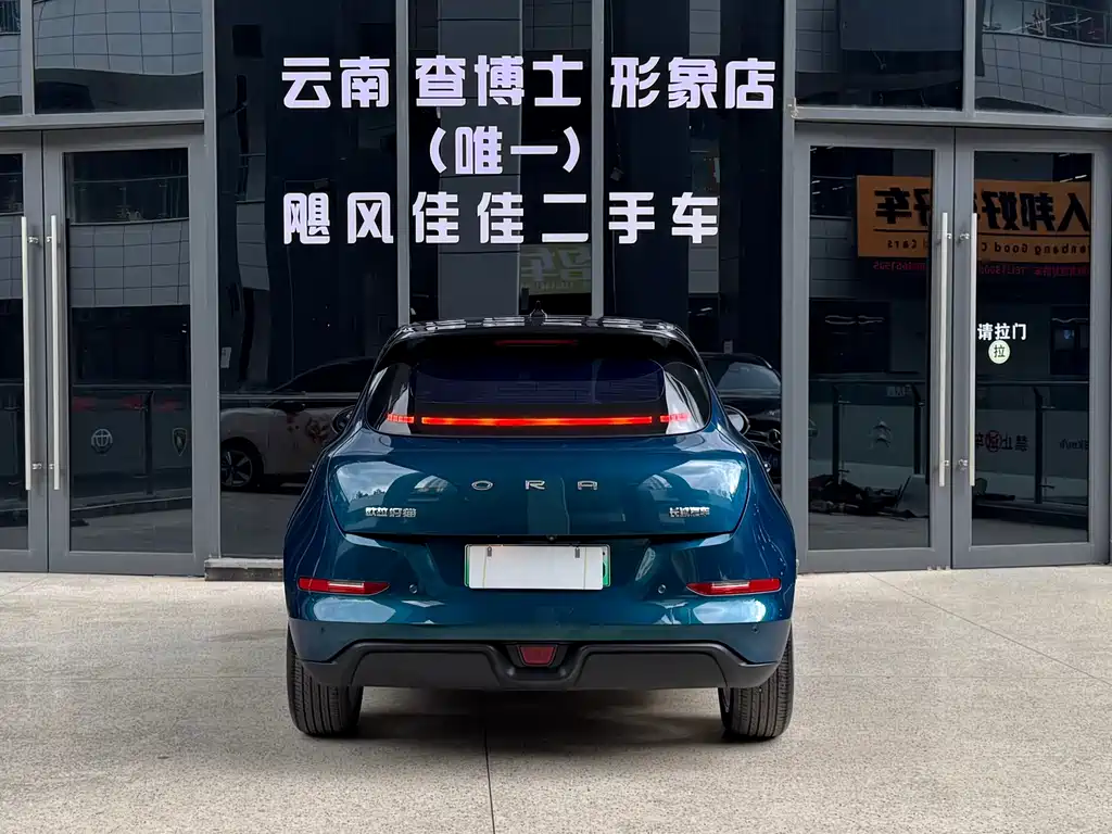 Euler Good Cat 2022 model 400km standard battery life premium type ternary lithium купить на сайте DeffCars