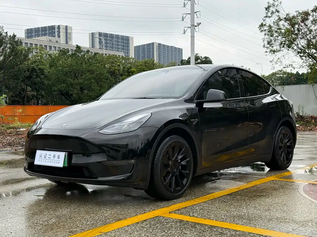 Model Y 2022 long-range all-wheel drive version купить на сайте DeffCars
