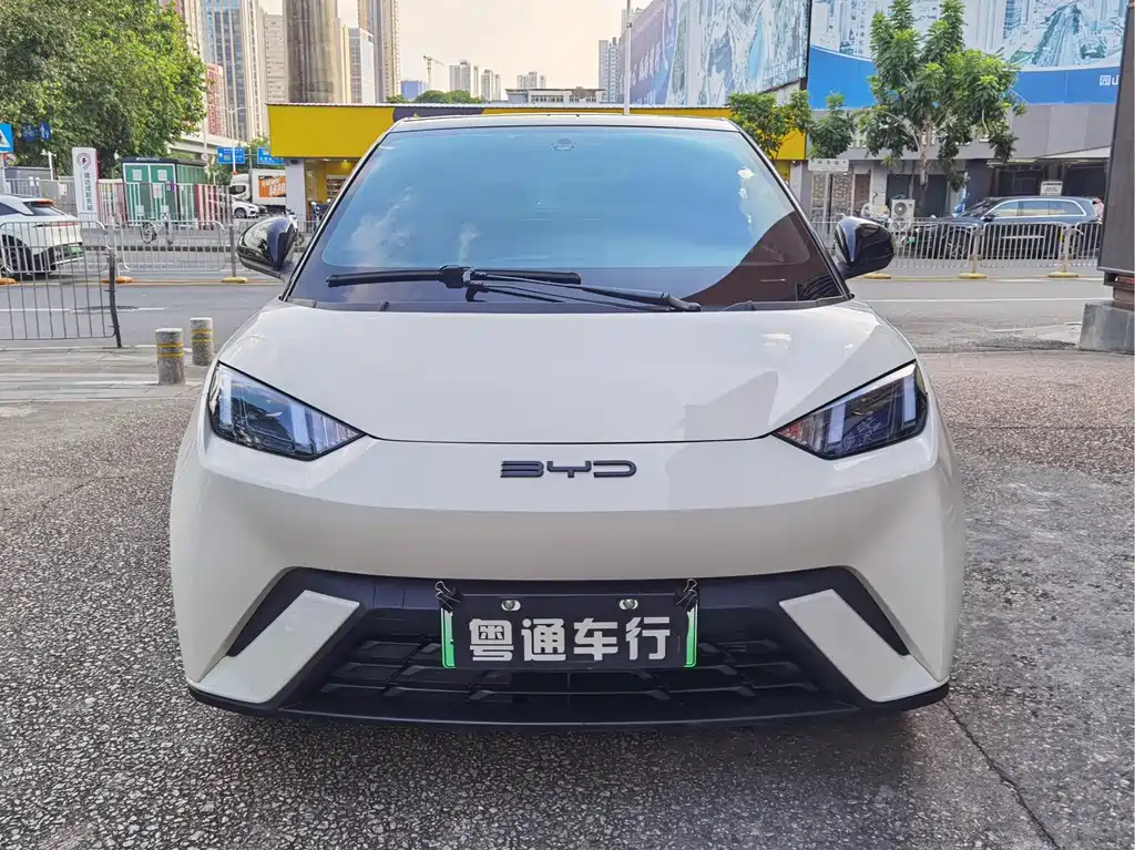 Seagull 2023 Free Edition купить на сайте DeffCars