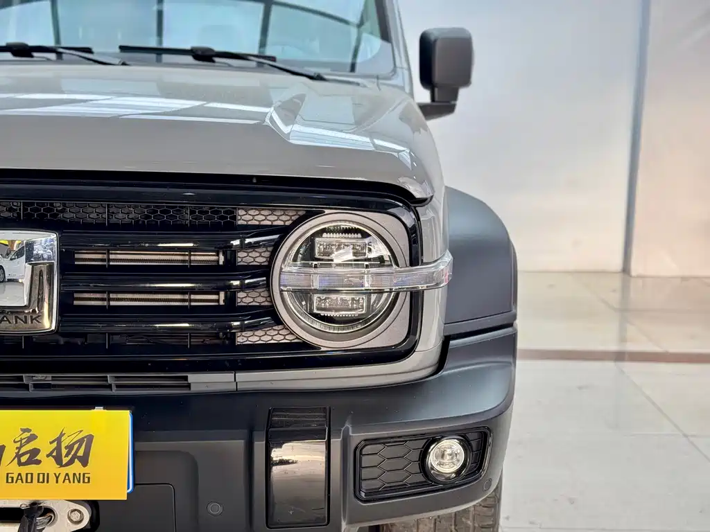 Tank 300 2021 Off-Road Version 2.0T Challenger купить на сайте DeffCars