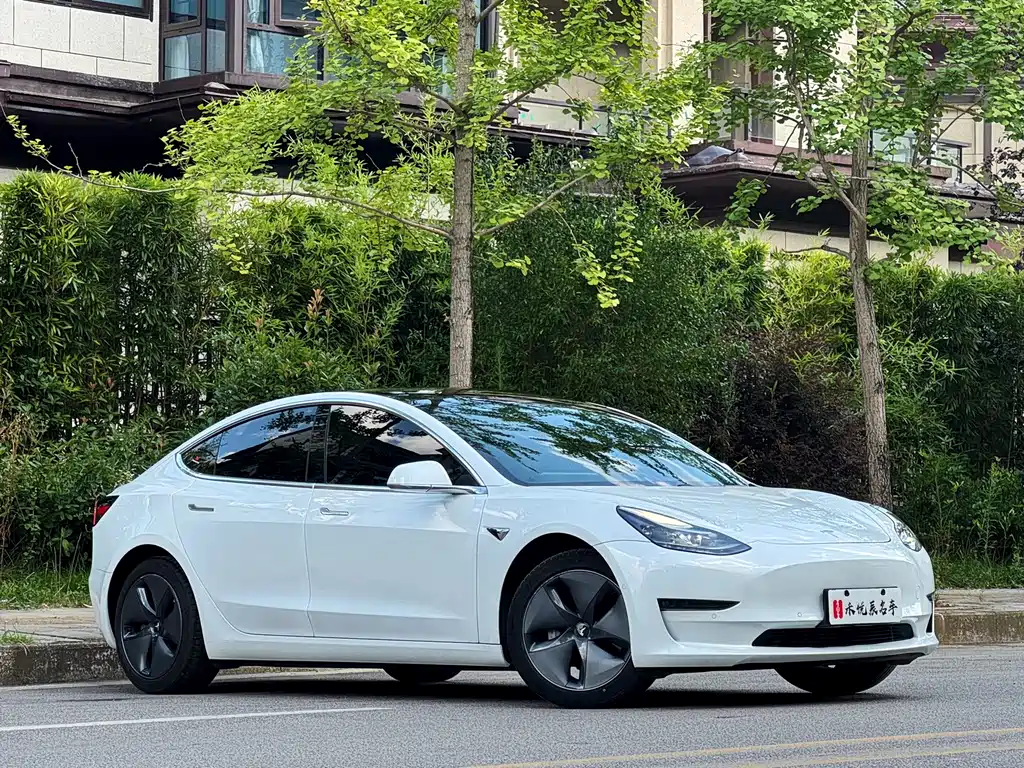 Model 3 2020 Long Range Rear Wheel Drive Edition купить на сайте DeffCars