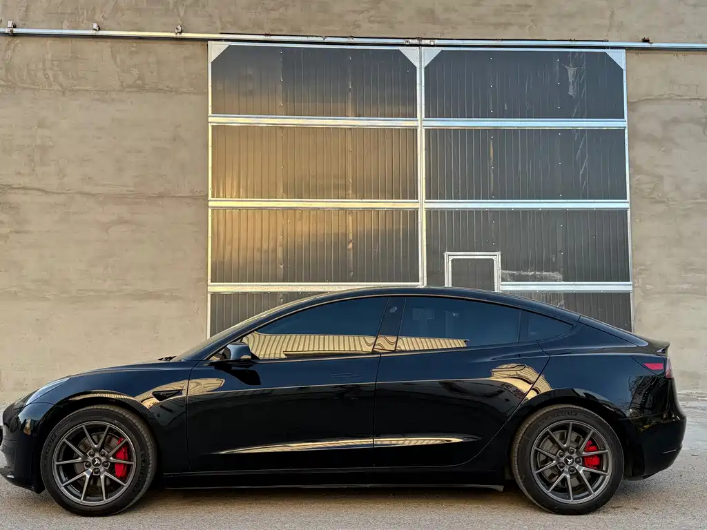 Model 3 2022 rear-wheel drive version купить на сайте DeffCars