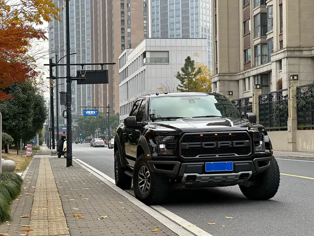 Ford F-150 Raptor 2018 3.5T Raptor Performance Enhanced Edition купить на сайте DeffCars