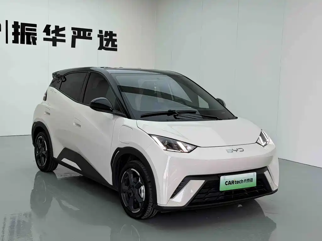 Seagull 2024款 荣耀版 305km 自由版 купить на сайте DeffCars