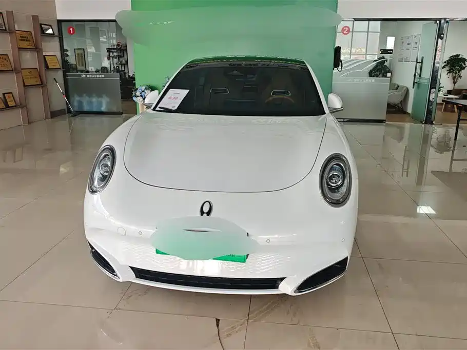 Euler Lightning Cat 2022 555km Premium Edition купить на сайте DeffCars