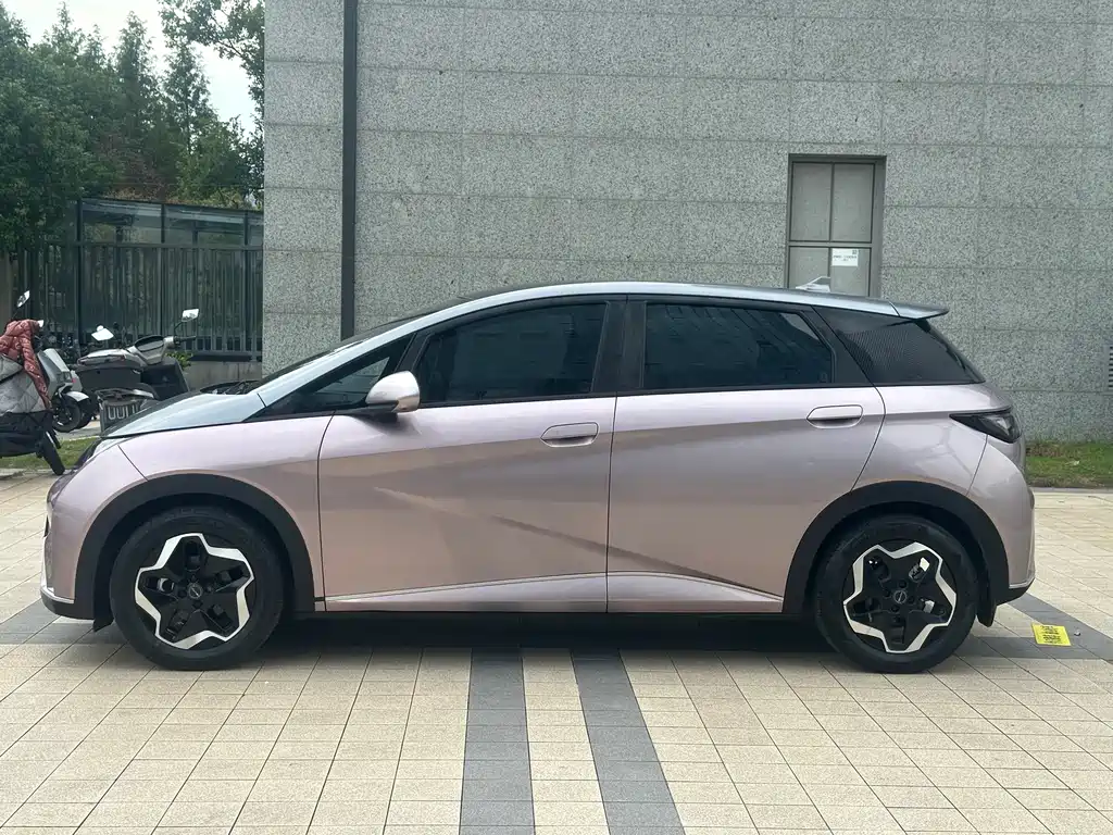 Dolphin 2021 405km fashion version купить на сайте DeffCars
