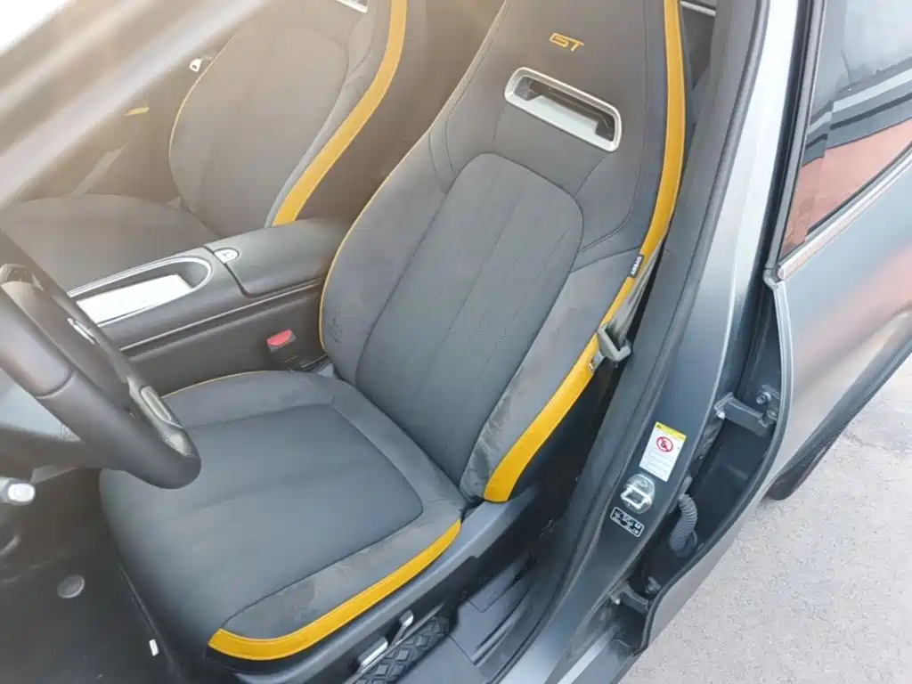 Euler Good Cat GT 2023 Mulan Edition 401km Premium Model купить на сайте DeffCars