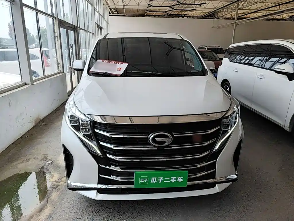 Trumpchi M8 2023 Lead Show Series 390T Exclusive Edition купить на сайте DeffCars
