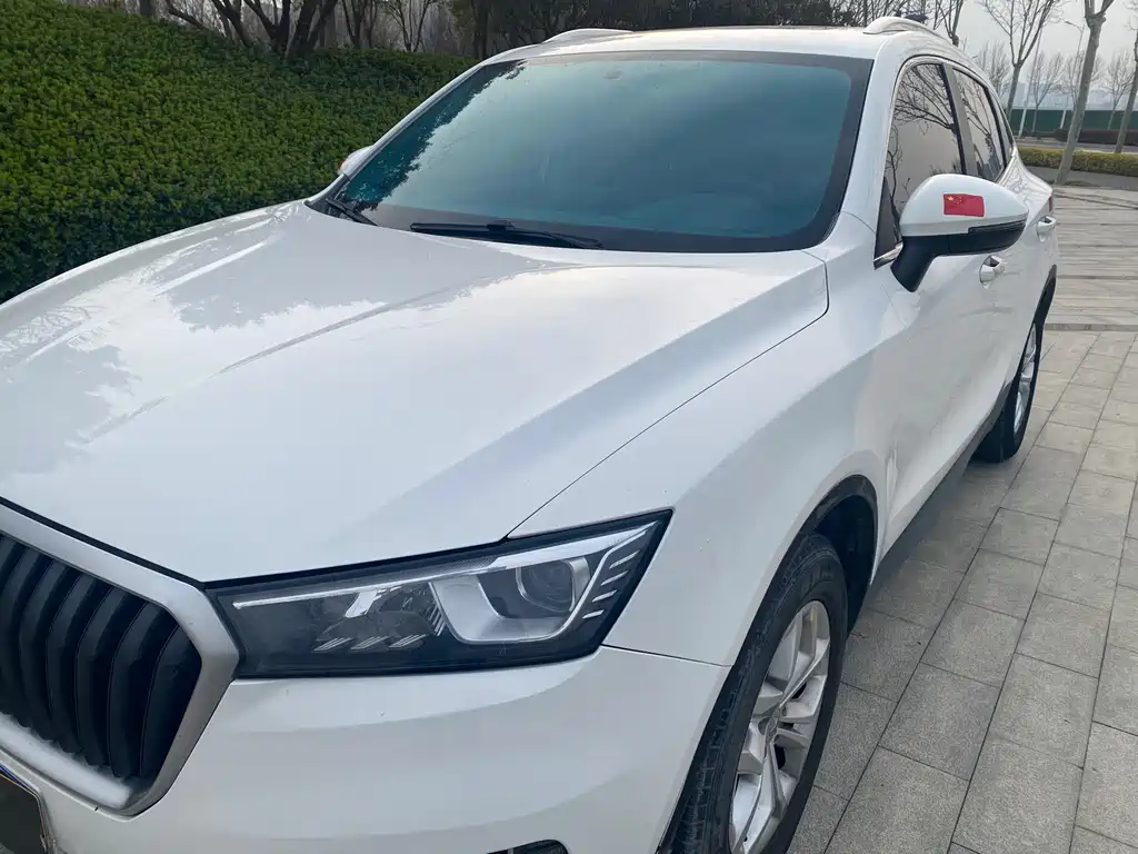 Borgward BX5 2017 20TGDI automatic two-wheel drive pioneer type купить на сайте DeffCars
