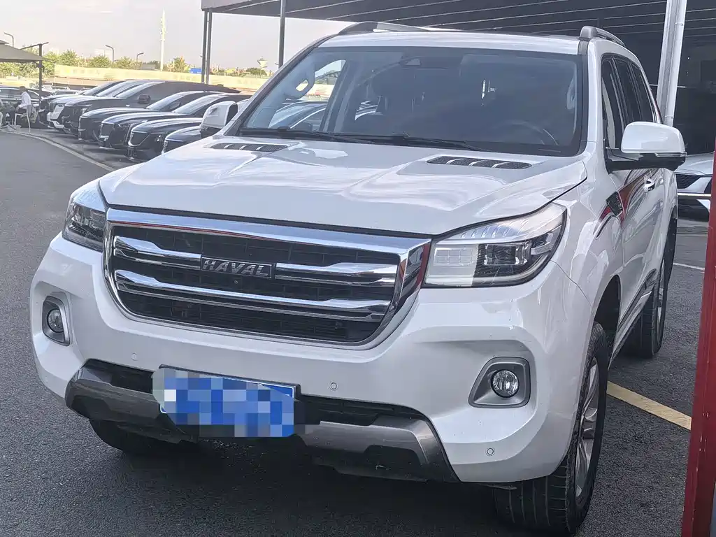 Haval H9 2020 2.0T gasoline four-wheel drive luxury model 7 seats купить на сайте DeffCars