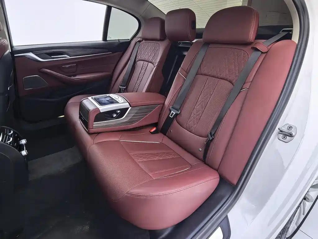 BMW 5 Series 2021 530Li Exclusive Luxury Package купить на сайте DeffCars