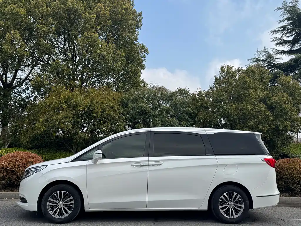 Buick GL8 2018 ES 28T luxury model National VI купить на сайте DeffCars