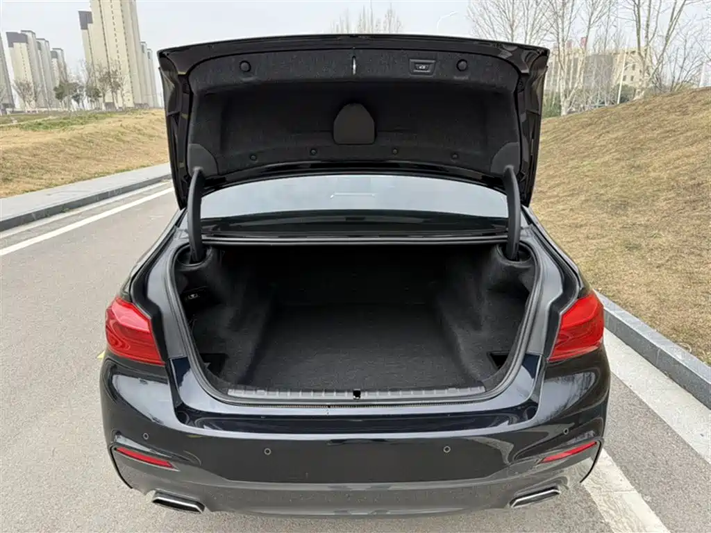 BMW 5 Series 2018 facelift 530Li leading M sports package купить на сайте DeffCars