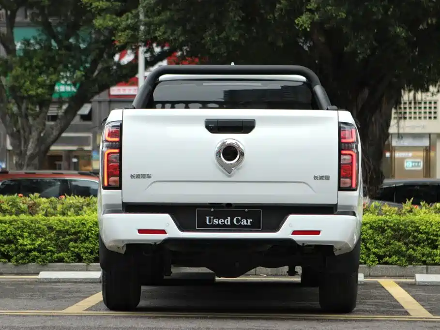 Cannon 2023 2.0T commercial version automatic gasoline four-wheel drive elite standard box GW4C20B купить на сайте DeffCars