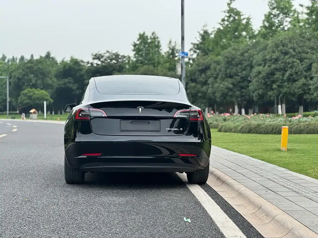 Model 3 2021 facelift standard range rear drive upgraded version 3D1 купить на сайте DeffCars