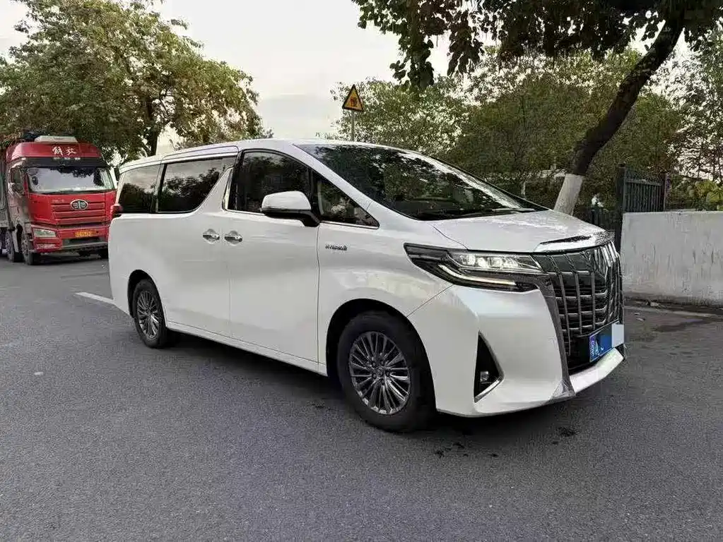 Alfa 2019 Shuangqing 2.5L Premium Edition купить на сайте DeffCars