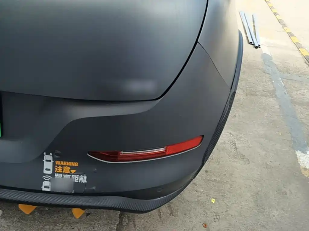 Euler Good Cat GT 2023 Mulan Edition 401km Premium Type купить на сайте DeffCars