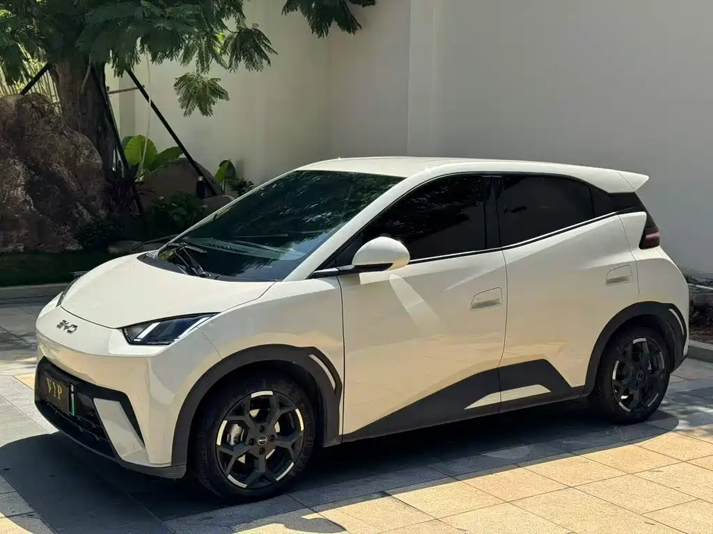 Seagull 2024 Honor Edition 305km Free купить на сайте DeffCars