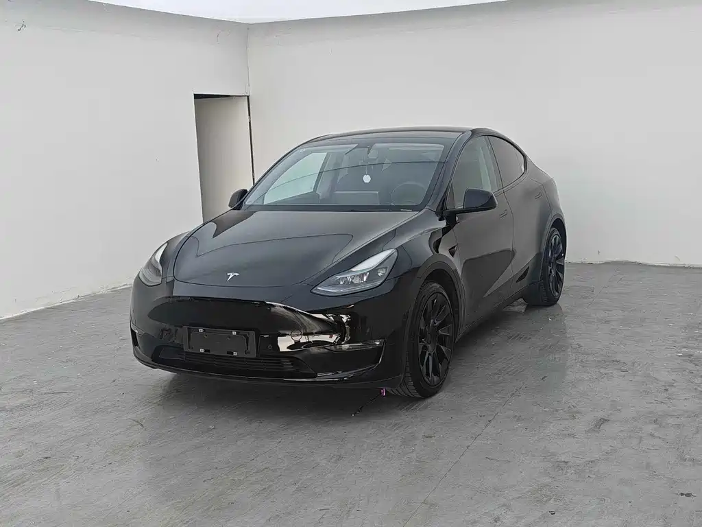 Model Y 2021 standard range rear-wheel drive version купить на сайте DeffCars