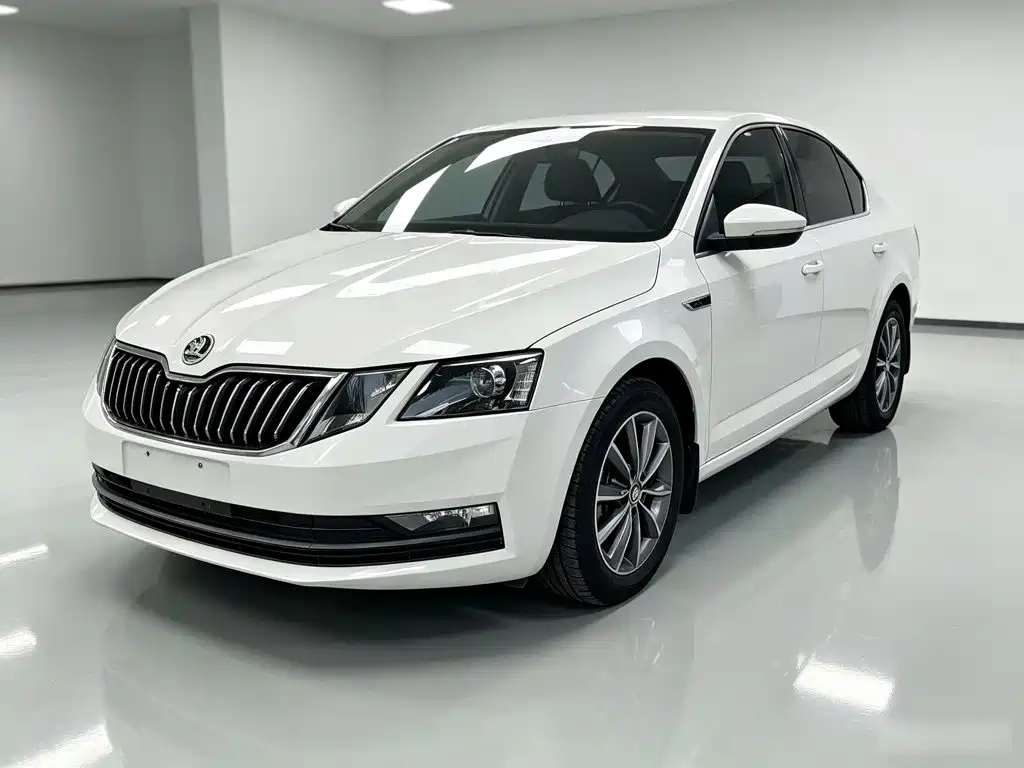 Octavia 2019 TSI230 DGSSenova Zhixing Comfort Edition National VI купить на сайте DeffCars
