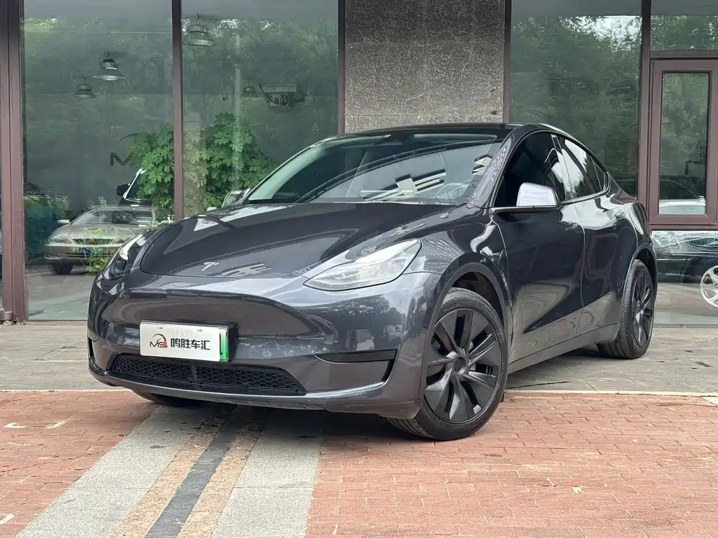 Model Y 2024 rear-wheel drive version купить на сайте DeffCars