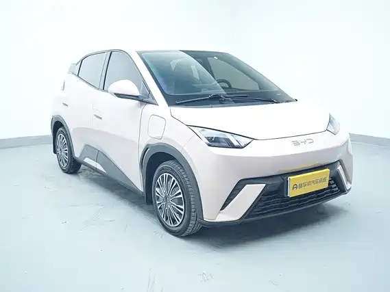 Seagull 2025 305km active version купить на сайте DeffCars