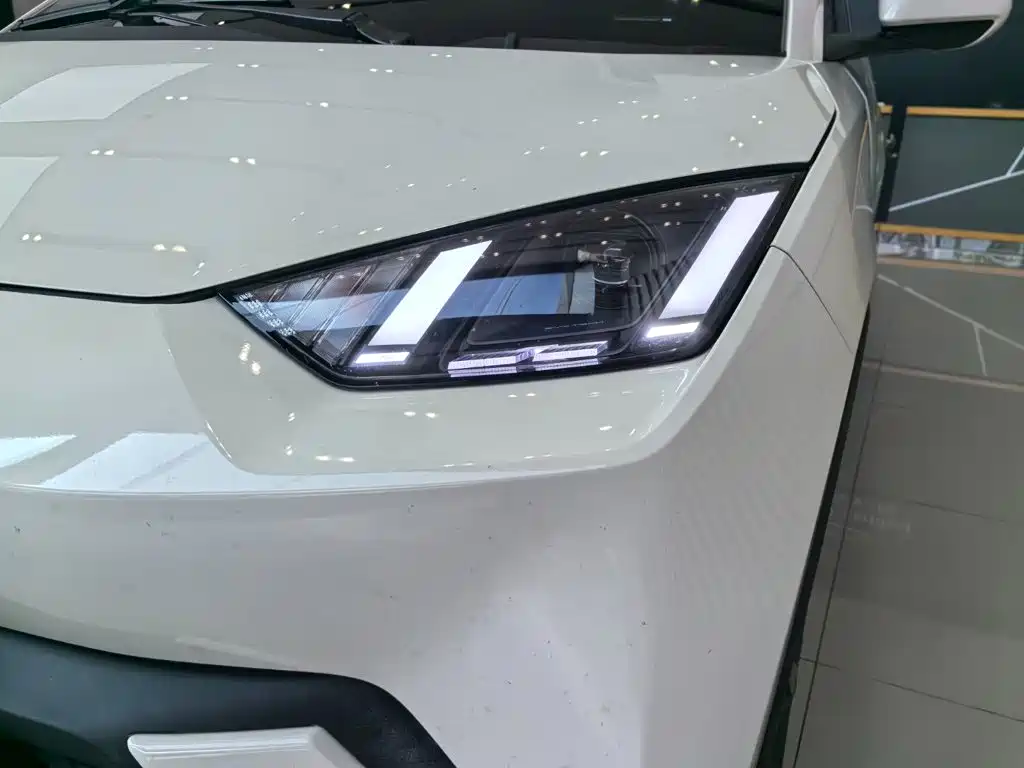 Seagull 2023 Free Edition купить на сайте DeffCars