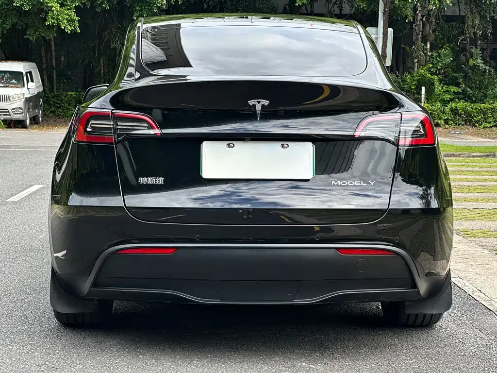 Model Y 2023 rear-wheel drive version купить на сайте DeffCars