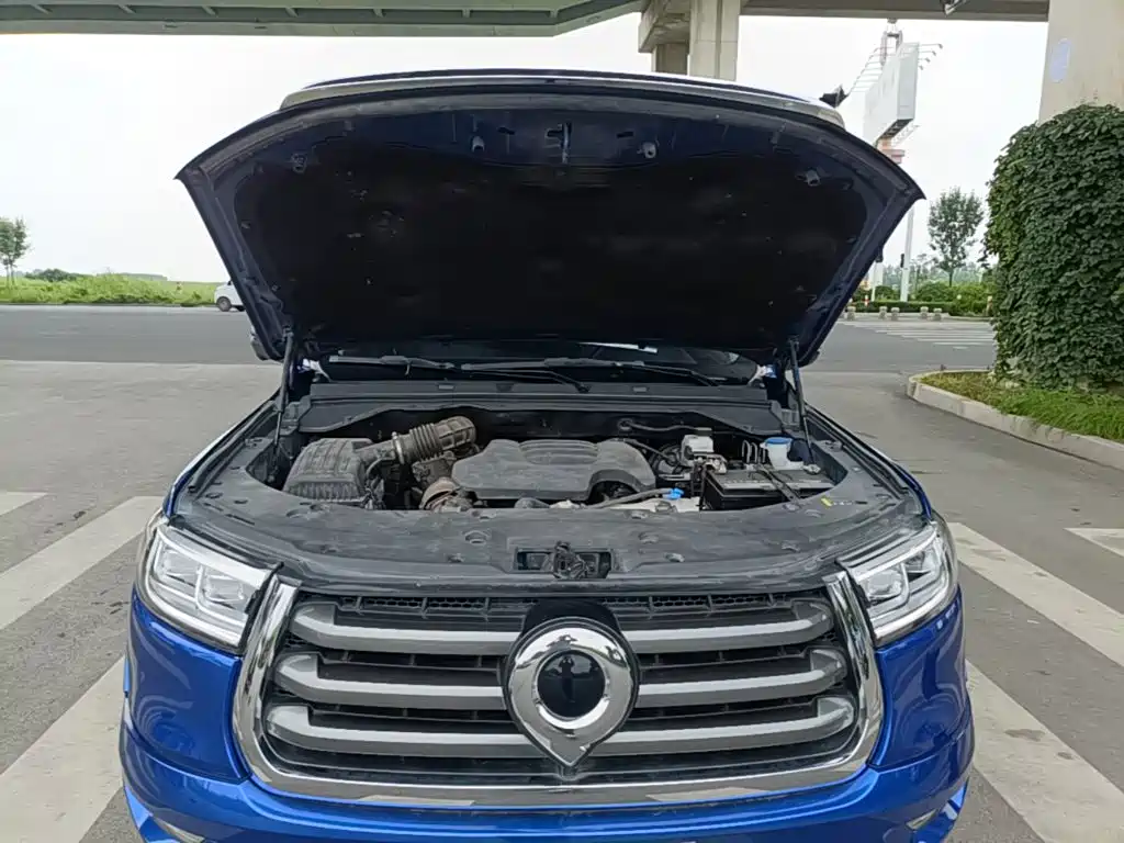Cannon 2020 2.0T automatic diesel two-wheel drive comfort version GW4D20M купить на сайте DeffCars