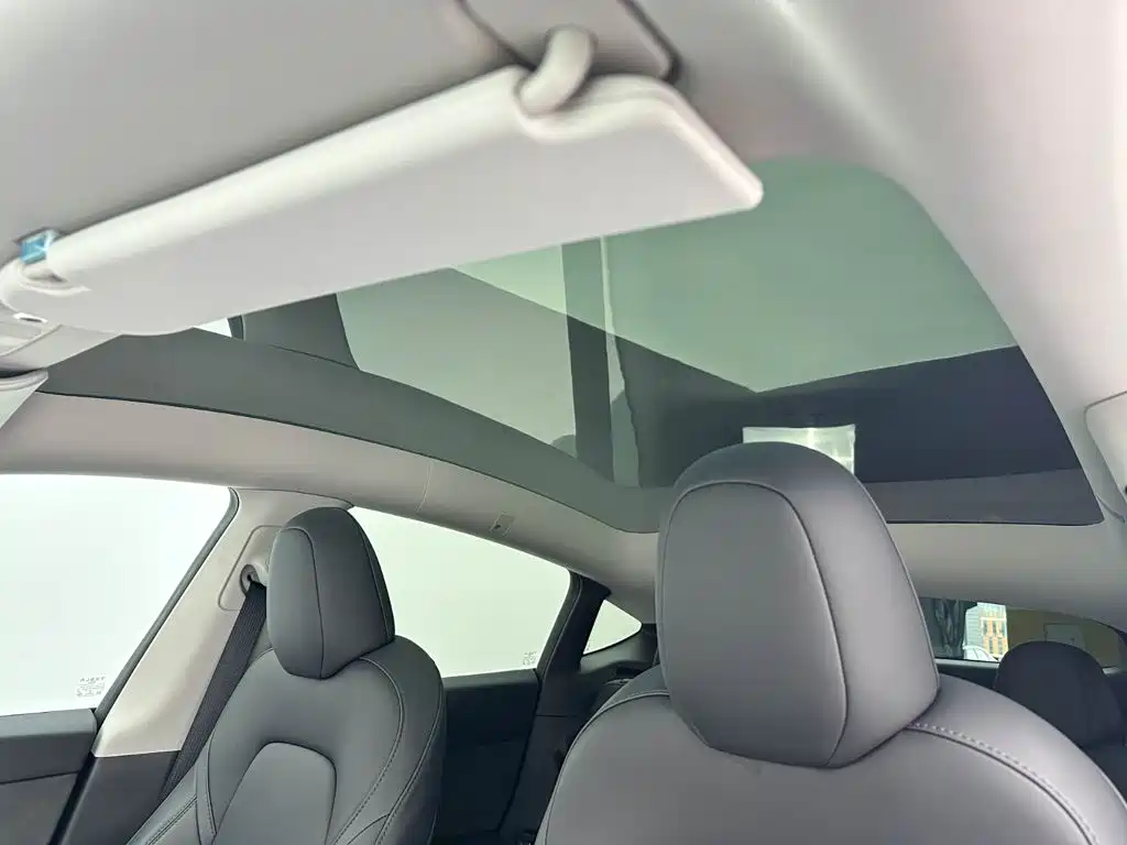 Model Y 2024 rear-wheel drive version купить на сайте DeffCars