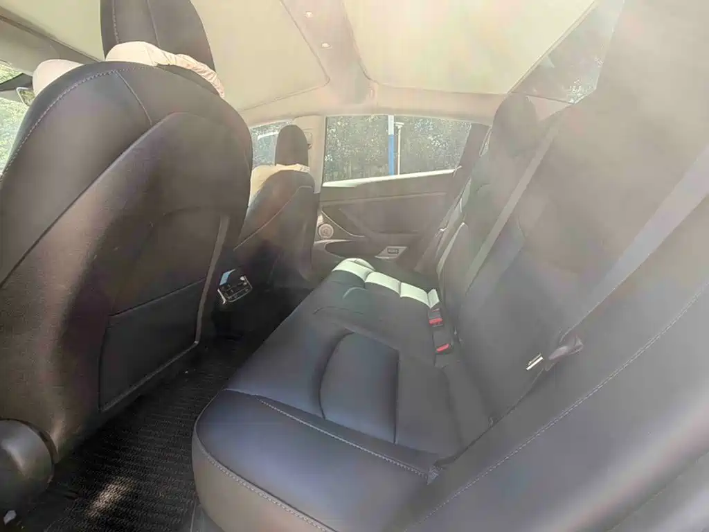 Model 3 2022 rear-wheel drive version купить на сайте DeffCars