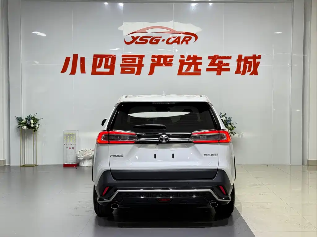 Wilanda 2020 2.0L CVT two-wheel drive luxury version купить на сайте DeffCars