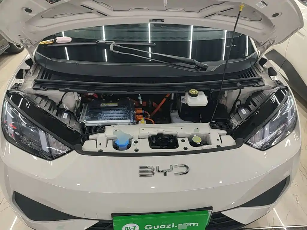 Seagull 2025 Smart Driving Edition 305km Dynamic купить на сайте DeffCars