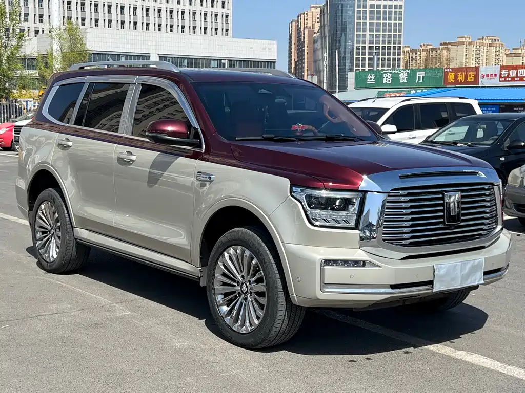 Tank 500 2023 model 3.0T special customized version 5 seats купить на сайте DeffCars