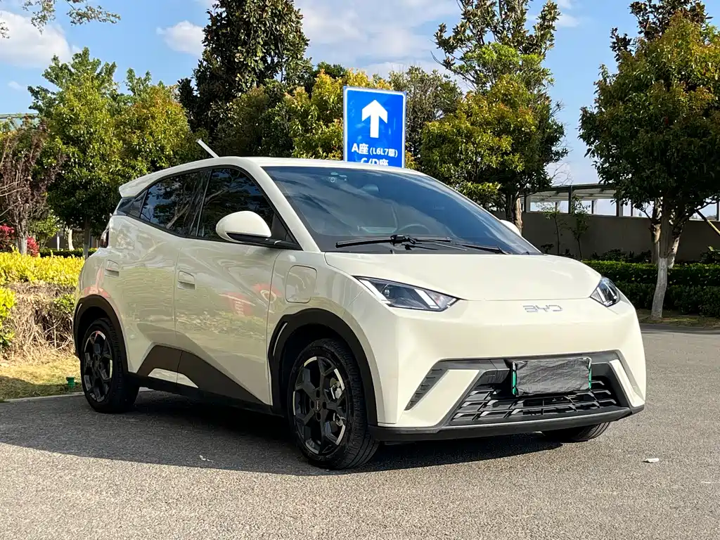 Seagull 2025 model 305km free version купить на сайте DeffCars
