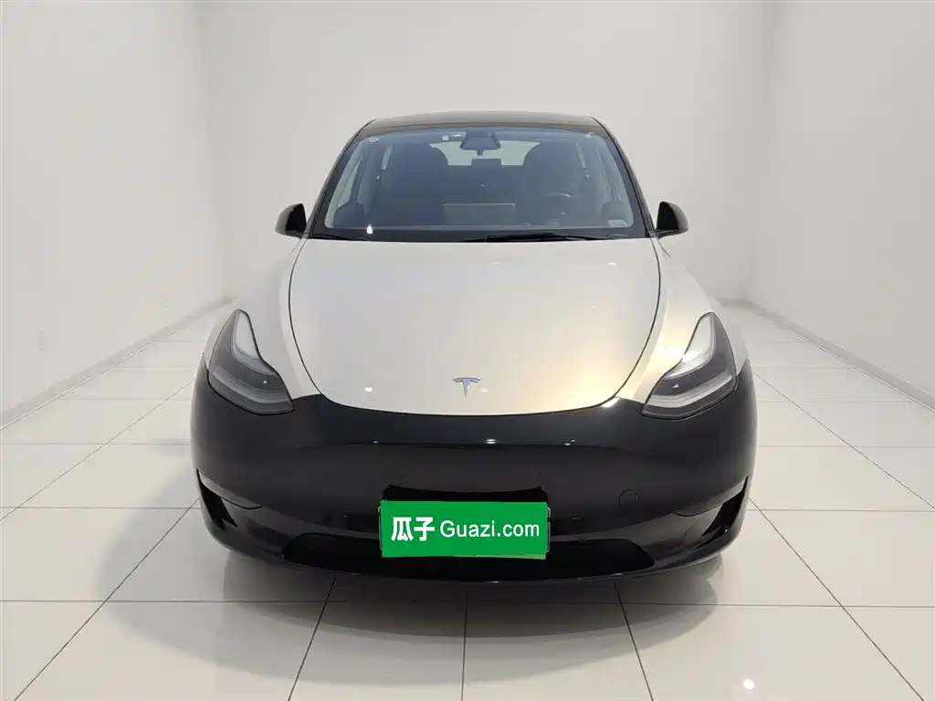 Model Y 2021 standard range rear-wheel drive version купить на сайте DeffCars