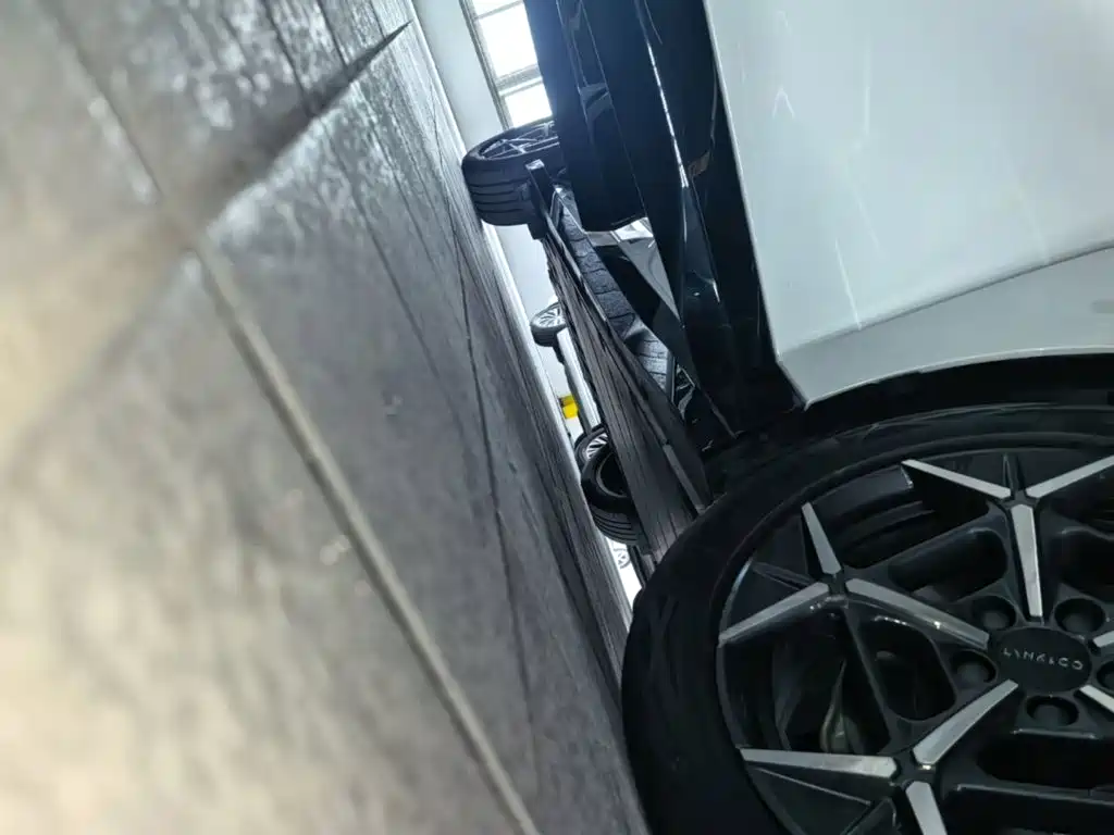 Link CO Z20 2025 530km Rear Drive Max купить на сайте DeffCars