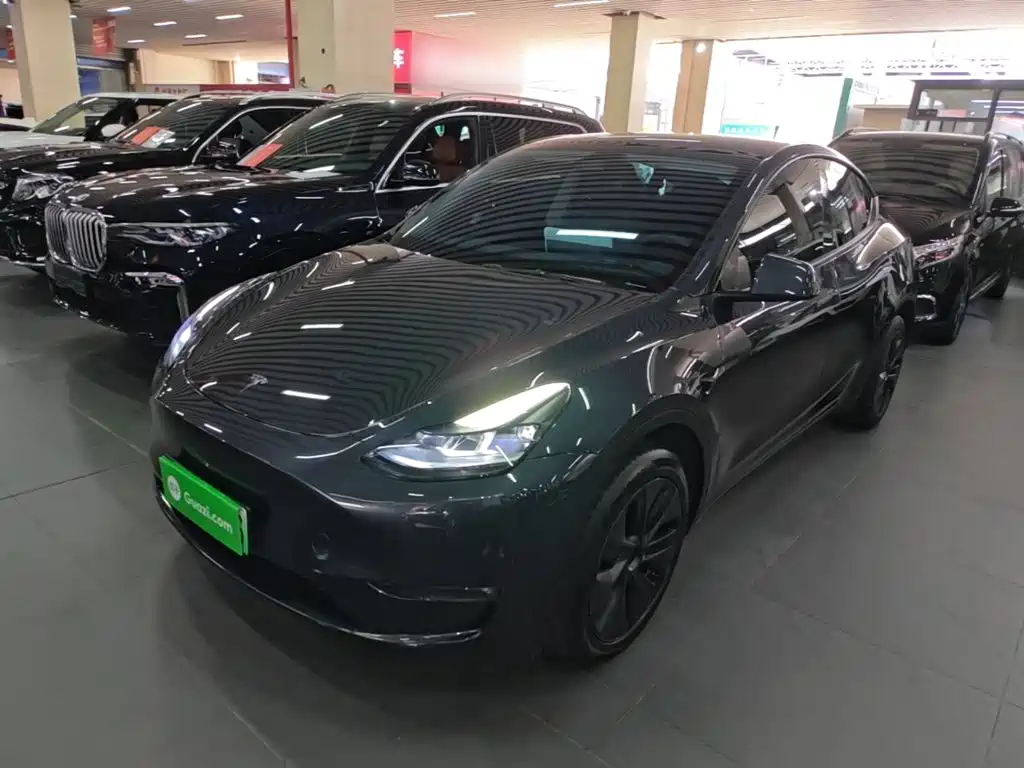 Model Y 2024 Long Range All-Wheel Drive Edition купить на сайте DeffCars