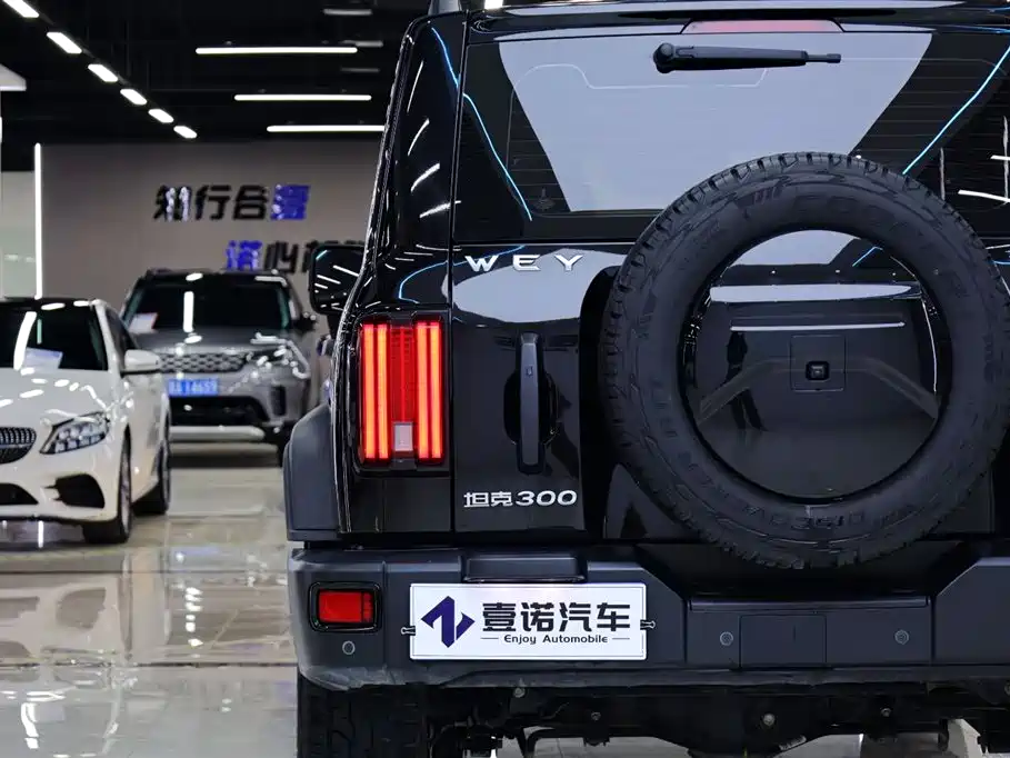 Tank 300 2021 Off-Road Version 2.0T Conqueror купить на сайте DeffCars