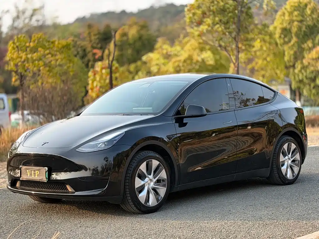 Model Y 2023 rear-wheel drive version купить на сайте DeffCars
