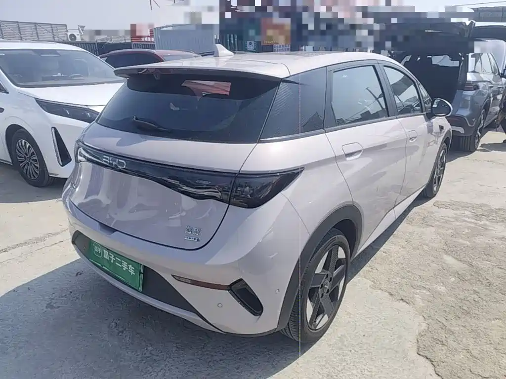 Dolphin 2025 Smart Driving Edition 520km Rider Edition купить на сайте DeffCars